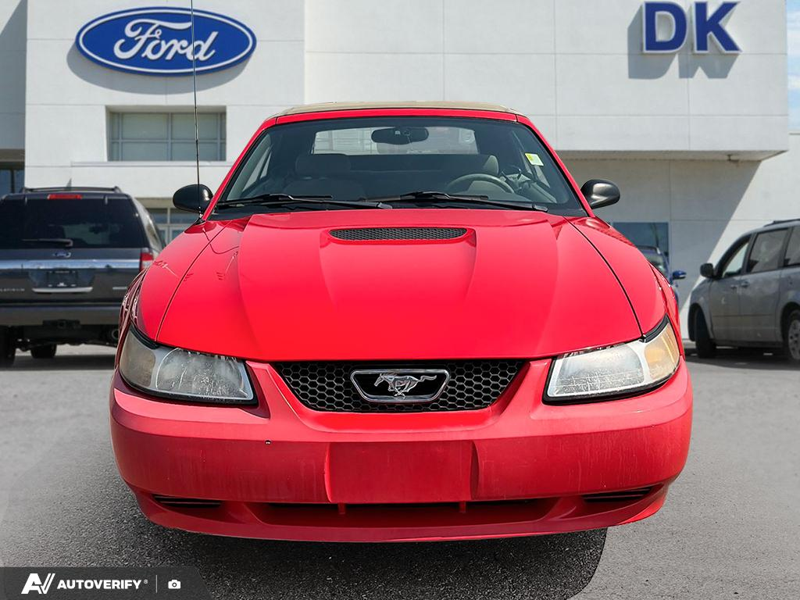 USED 2000 Ford Mustang BASE Convertible! - Bright Red Exterior - $7,997 - Stock #D50931F - VIN 1FAFP4440YF253862 - Photo 2