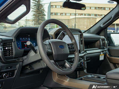 2025 Ford F-150 STX 1