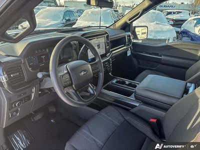 2025 Ford F-150 STX LOBO 1