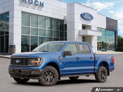 2025 Ford F-150 STX 1