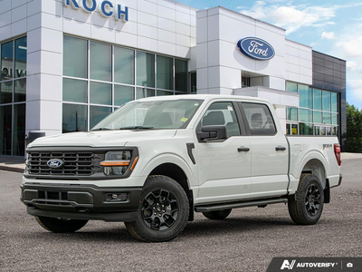 2025 Ford F-150 STX 1