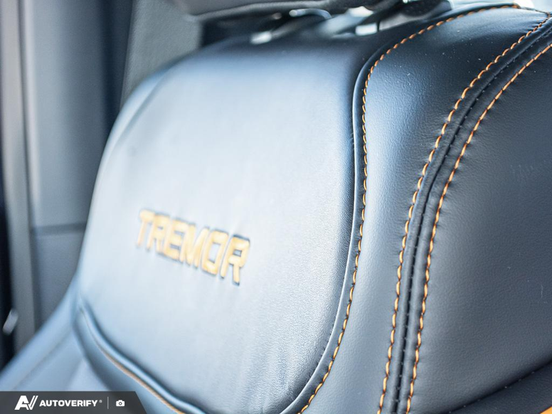 NEW 2025 Ford F-150 Tremor - Antimatter Blue Metallic Exterior / BLACK TREMOR LEATHER Interior - $86,269 - Stock #D51014 - VIN 1FTFW4L52SFC33028 - Photo 24