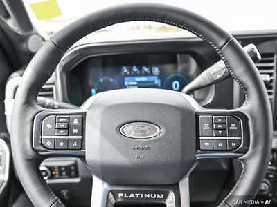 2025 Ford F-350 Super Duty Platinum 1