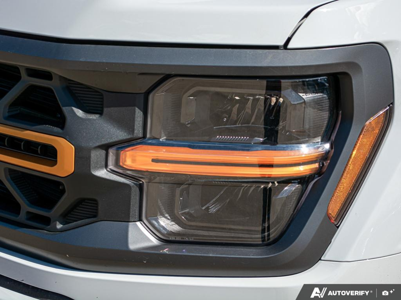 NEW 2026 Ford F-150 Tremor - Avalanche Exterior / BLACK SPORT CLOTH Interior - $75,874 - Stock #E60502 - VIN 1FTFW4L81TFA63515 - Photo 10