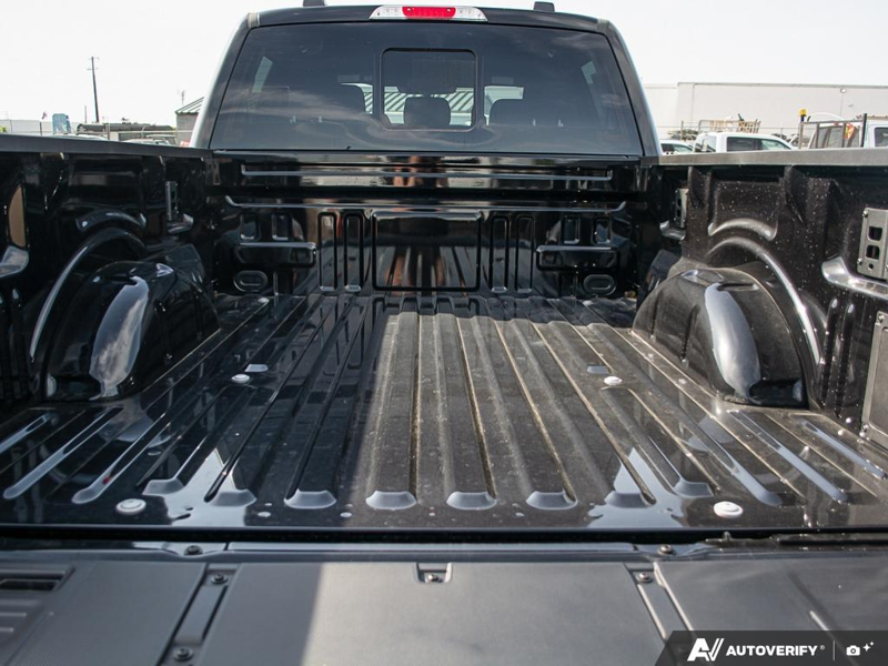 NEW 2026 Ford F-150 XLT Long Box - Agate Black Exterior / BLACK SPORT Interior - $72,481 - Stock #E60641 - VIN 1FTFW3L81TKD64433 - Photo 11