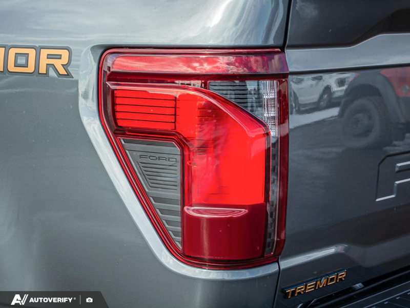 NEW 2026 Ford F-150 Tremor - Carbonized Grey Metallic Exterior / BLACK SPORT CLOTH Interior - $77,312 - Stock #D60336 - VIN 1FTFW4L89TFA46722 - Photo 12