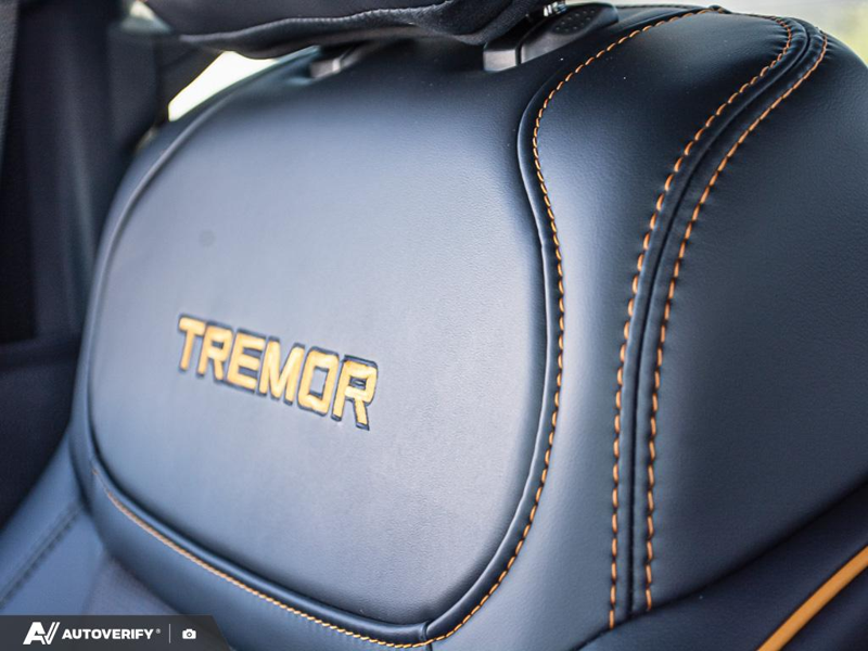 NEW 2026 Ford F-150 Tremor - Carbonized Grey Metallic Exterior / BLACK TREMOR LEATHER Interior - $90,273 - Stock #D60616 - VIN 1FTFW4L58TFB21982 - Photo 24