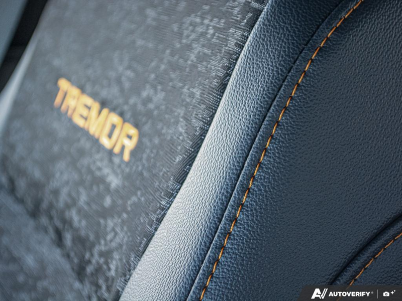 NEW 2026 Ford F-150 Tremor - Avalanche Exterior / BLACK SPORT CLOTH Interior - $75,874 - Stock #E60502 - VIN 1FTFW4L81TFA63515 - Photo 25