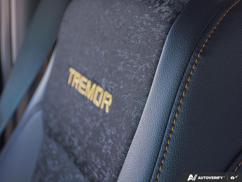 NEW 2026 Ford F-150 Tremor - Agate Black Exterior / BLACK SPORT CLOTH Interior - $75,784 - Stock #E60548 - VIN 1FTFW4L86TFA73067 - Photo 25