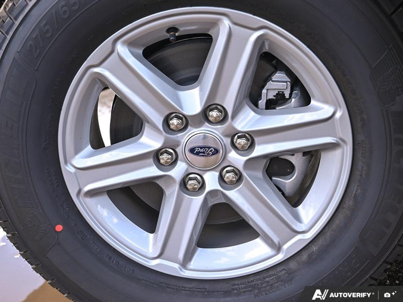 NEW 2026 Ford F-150 XLT - Oxford White Exterior / MEDIUM DARK SLATE Interior - $66,979 - Stock #E60770 - VIN 1FTFW3L87TKE26417 - Photo 6