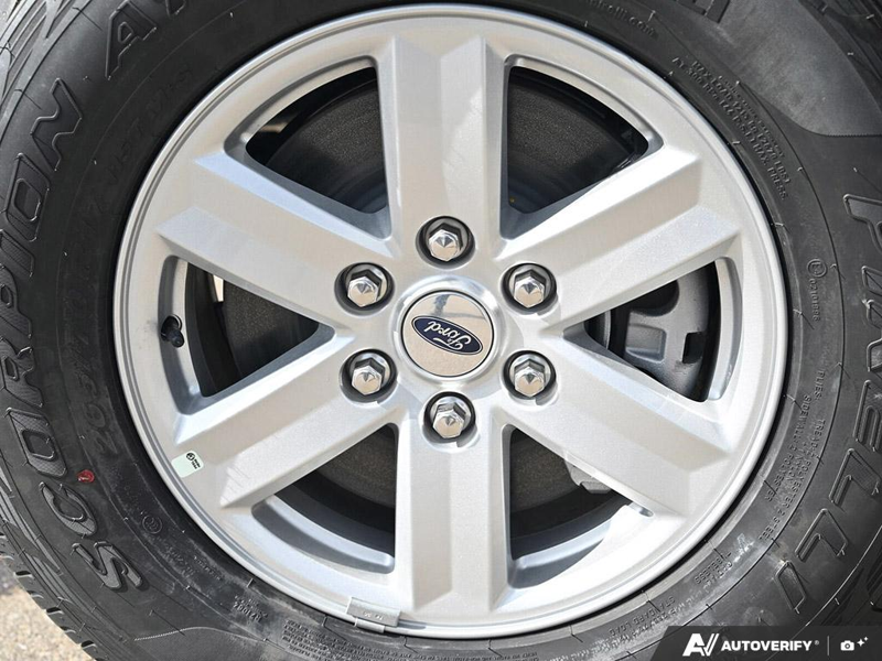 NEW 2026 Ford F-150 XL - Oxford White Exterior / MEDIUM DARK SLATE CLOTH Interior - $62,687 - Stock #E60905 - VIN 1FTFW1L80TKE62602 - Photo 6