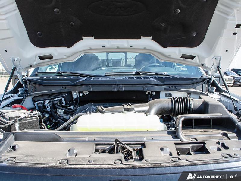NEW 2026 Ford F-150 XLT - Oxford White Exterior / BLACK SPORT Interior - $72,559 - Stock #E60416 - VIN 1FTEW3LP5TKD48142 - Photo 8