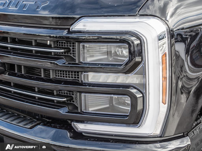 NEW 2026 Ford F-350 Super Duty Platinum - Agate Black Exterior / BLACK ONYX/BLUE LEATHER Interior - $114,915 - Stock #D60311 - VIN 1FT8W3BT6TED85081 - Photo 10
