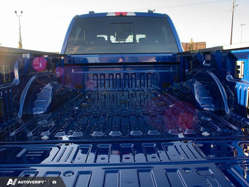 NEW 2026 Ford F-350 Super Duty Platinum - Argon Blue Metallic Exterior / BLACK LEATHER Interior - $123,566 - Stock #D60075 - VIN 1FT8W3BTXTEC87400 - Photo 12