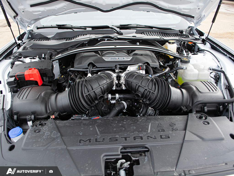 NEW 2026 Ford Mustang GT - Oxford White Exterior / BLACK ONYX CLOTH Interior - $61,602 - Stock #D60195 - VIN 1FA6P8CFXT5404604 - Photo 8