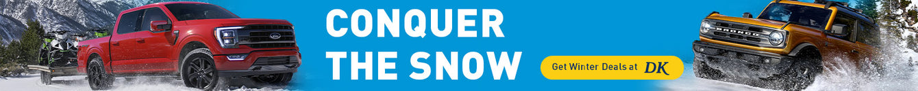 DK Ford Banner