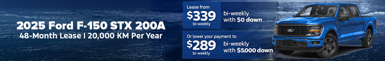 DK Ford promotional banner