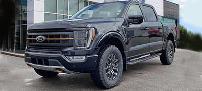 Detailing & Protection